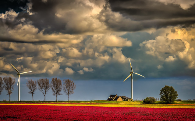 Field house wind turbines cloudy free wallpaper for desktop - medium preview image