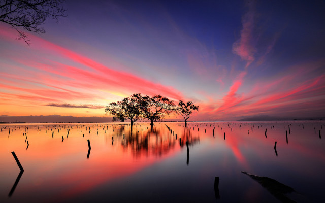 Tree lake sunset colorful sky free wallpaper for desktop - medium preview image