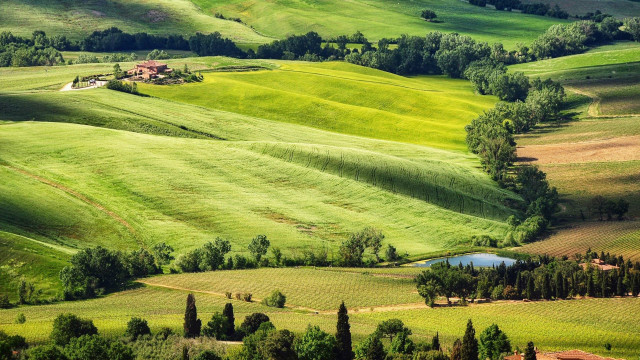 Green field pond hill house free wallpaper for desktop - medium preview image