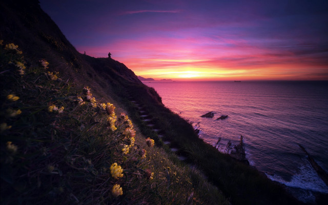 Cliff overlooking ocean sunset pink free wallpaper for desktop - medium preview image