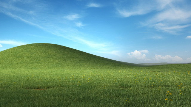 Grassy hill yellow flowers blue free wallpaper for desktop - medium preview image