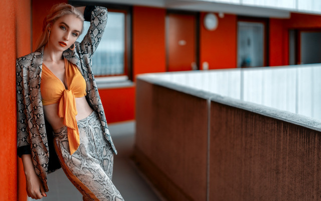 Yellow top snake skin jacket free wallpaper for desktop - medium preview image