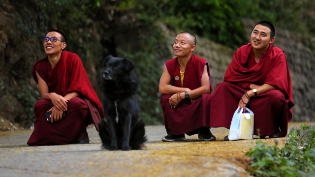 Monks road blackdog blackcat japaneseclothes free wallpaper for desktop - medium preview image