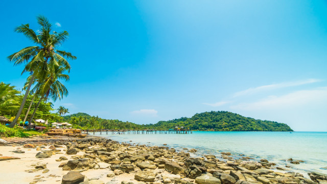 Beach pier palm trees mountain free wallpaper for desktop - medium preview image