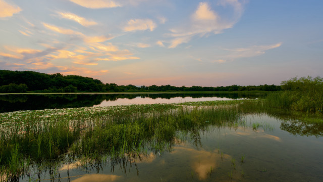 Lake water plants clouds sunset free wallpaper for desktop - medium preview image