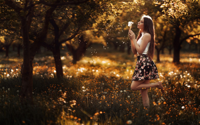 Woman flowers bubbles autumn nature free wallpaper for desktop - medium preview image