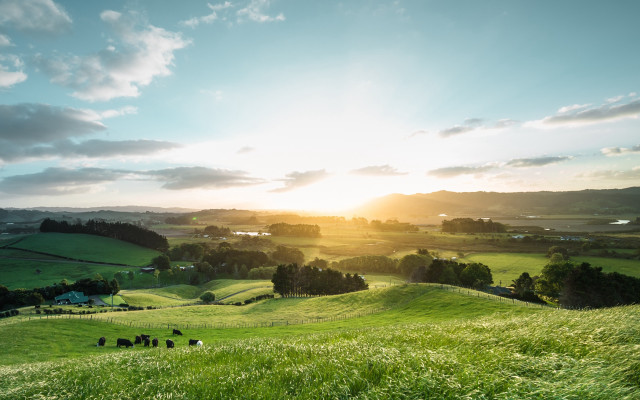 Grazing animals field sunset hills free wallpaper for desktop - medium preview image