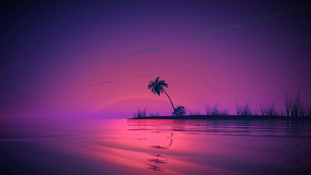 Palm tree sunset purple water free wallpaper for desktop - medium preview image