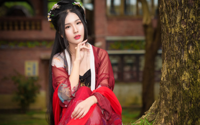 Red dress woman tree background free wallpaper for desktop - medium preview image