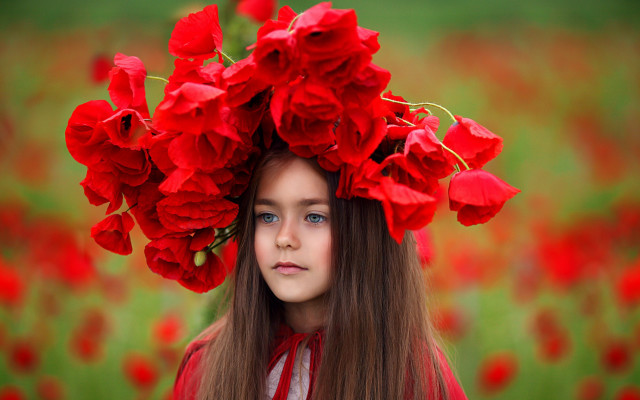 Girl redflower crown field flowers free wallpaper for desktop - medium preview image