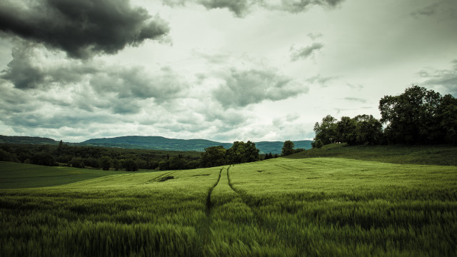 Stormy mountain field path cloudy free wallpaper for desktop - medium preview image