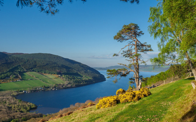 Lake mountain forest bush sky free wallpaper for desktop - medium preview image