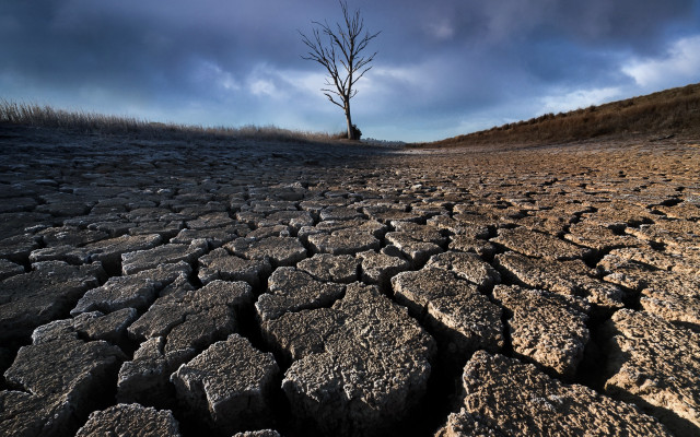 Barren landscape tree clouds city free wallpaper for desktop - medium preview image