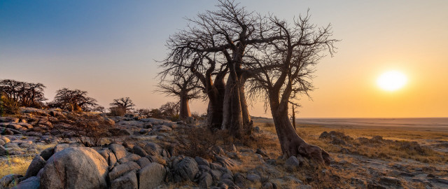 Primitivism trees rocks sunset lake free wallpaper for desktop - medium preview image
