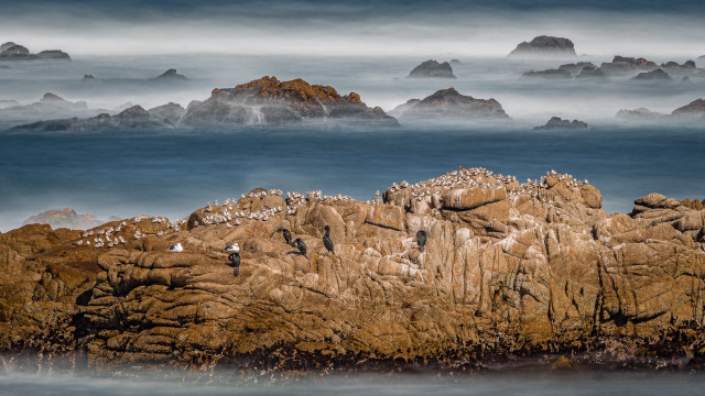 Birds rocks ocean foggy sky free wallpaper for desktop - medium preview image