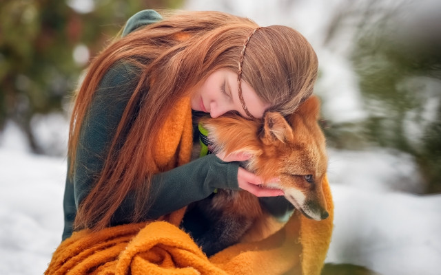 Woman dog snow blanket christmas free wallpaper for desktop - medium preview image