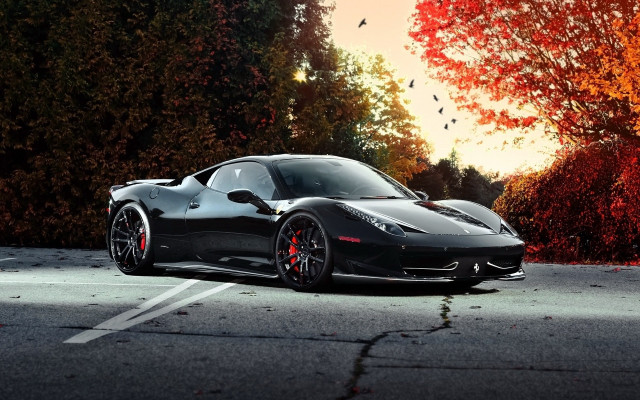Black sports car autumn leaves #3 free wallpaper for desktop - medium preview image