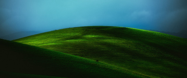 Lone bird grassy hill blue free wallpaper for desktop - medium preview image