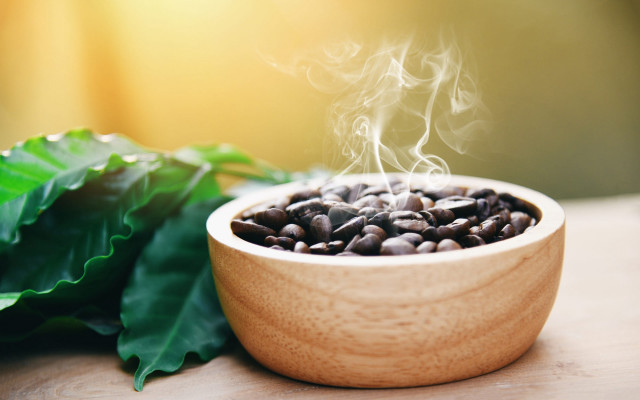 Coffee beans steam bowl plant free wallpaper for desktop - medium preview image