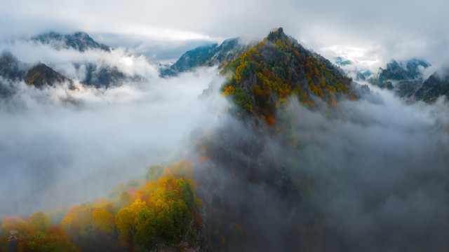 Mountain fog clouds trees misty free wallpaper for desktop - medium preview image