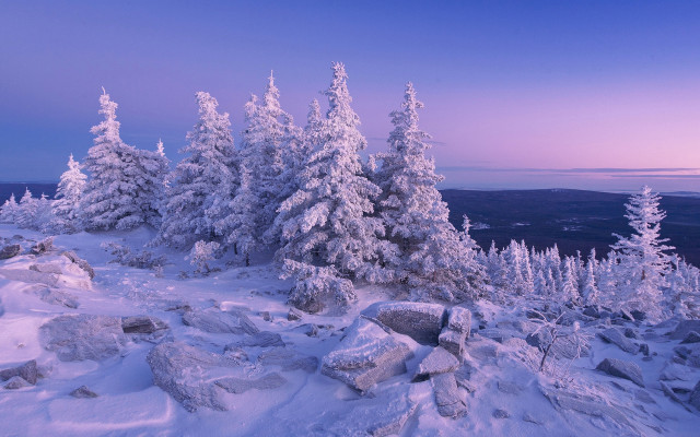 Snowy mountain forest lake sky free wallpaper for desktop - medium preview image