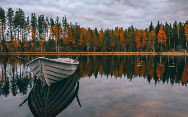 Boat lake trees swans autumn free wallpaper for desktop - medium preview image