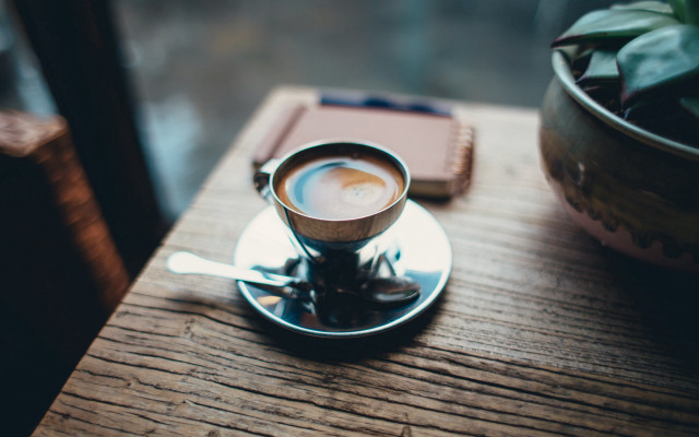 Coffee table book plant stilllife free wallpaper for desktop - medium preview image