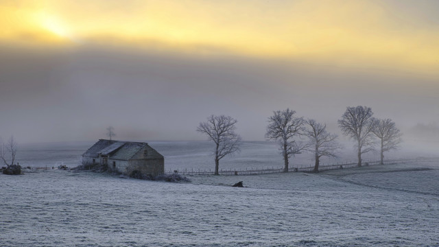 Barn field trees fog people free wallpaper for desktop - medium preview image