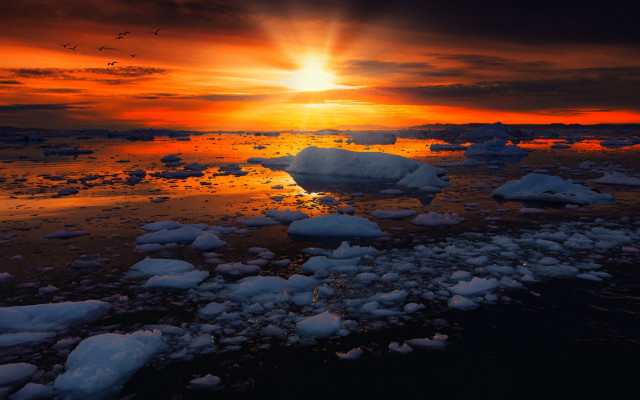 Sunset water ice birds city free wallpaper for desktop - medium preview image