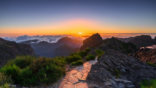Mountain path sunset ocean forest free wallpaper for desktop - medium preview image