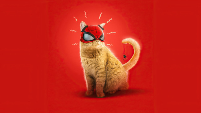 Cat spidermask stick lightning torii free wallpaper for desktop - medium preview image