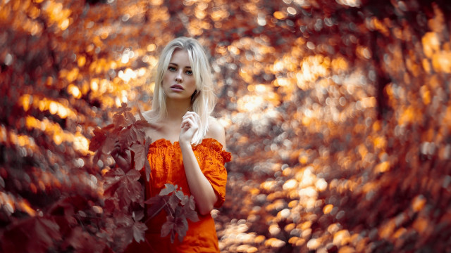 Woman orange dress tree red free wallpaper for desktop - medium preview image