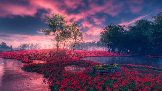 Sunset lake field bench flowers free wallpaper for desktop - medium preview image