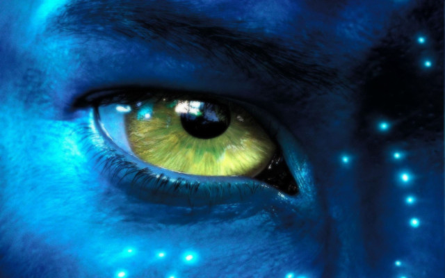 Close up blue yellow eye free wallpaper for desktop - medium preview image