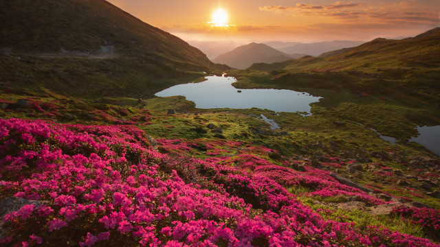 Sunset mountain lake cherry blossoms free wallpaper for desktop - medium preview image
