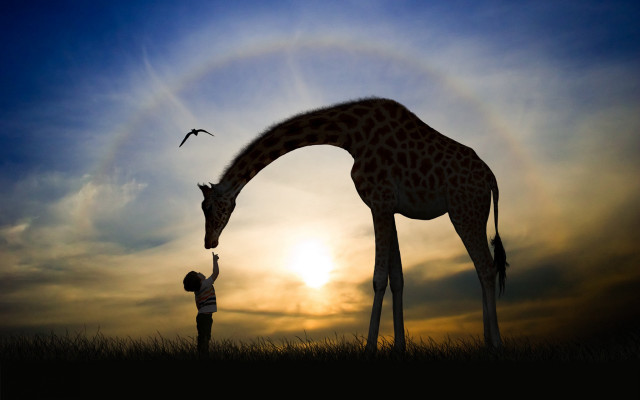 Giraffe child sunset rainbow magic free wallpaper for desktop - medium preview image