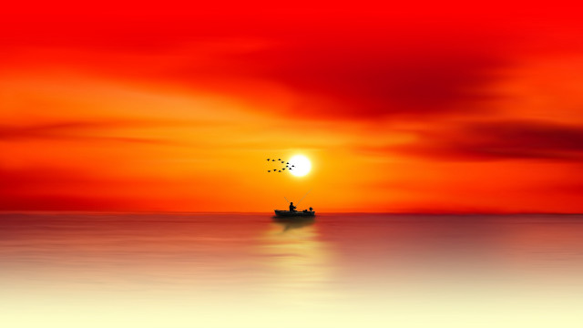 Boat sailing ocean sunset bird free wallpaper for desktop - medium preview image