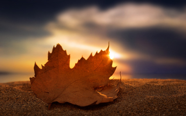 Leaf sand sunset clouds autumn free wallpaper for desktop - medium preview image