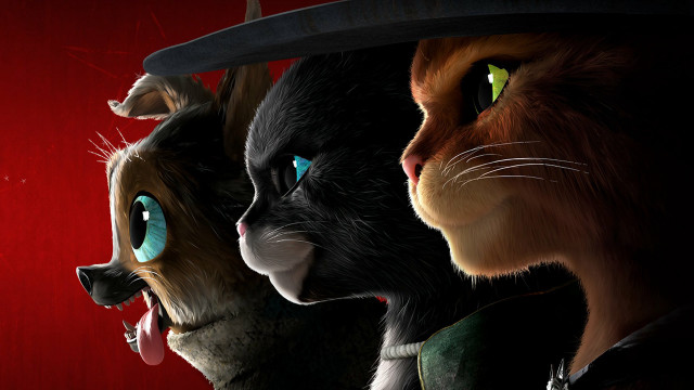 Cats group red background hat free wallpaper for desktop - medium preview image