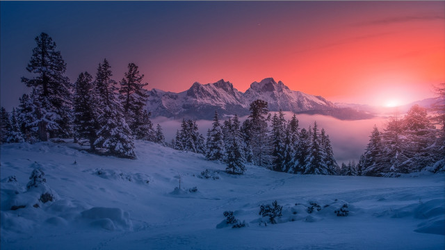Sunset snowy mountains trees red free wallpaper for desktop - medium preview image