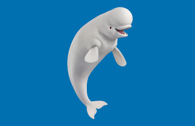 White dolphin smiling jumping air free wallpaper for desktop - medium preview image