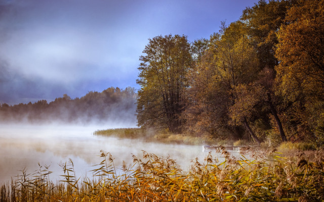 Lake fog misty autumn forest free wallpaper for desktop - medium preview image