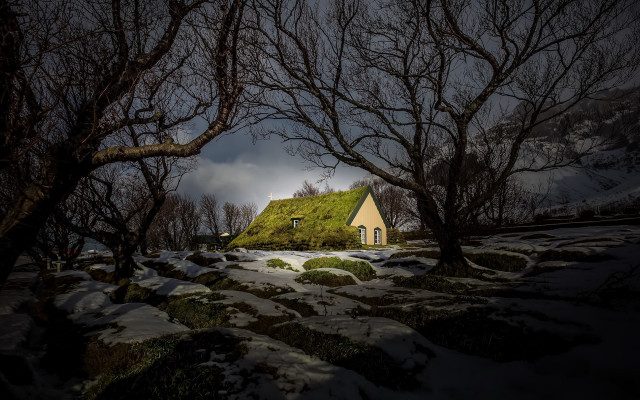 House green roof trees snow free wallpaper for desktop - medium preview image