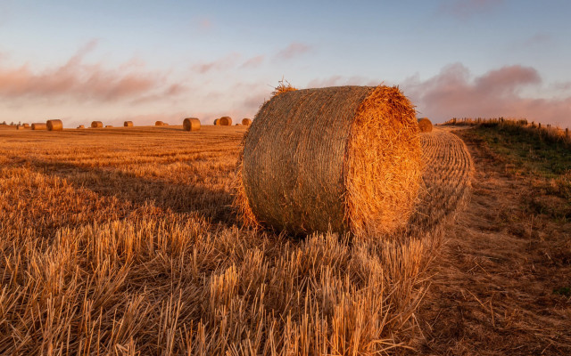 Hayfield bale clouds sunset mountains free wallpaper for desktop - medium preview image