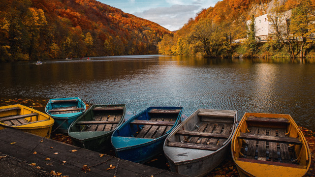 Boats lake forest hillside autumn free wallpaper for desktop - medium preview image
