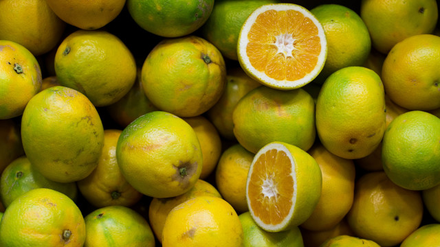 Lemons halved eaten pile christopher free wallpaper for desktop - medium preview image