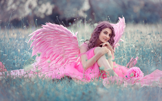 Woman pink dress wings flower free wallpaper for desktop - medium preview image