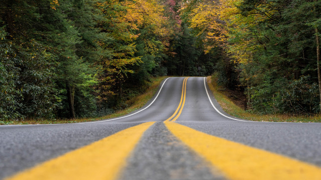 Fall forest road yellow line free wallpaper for desktop - medium preview image