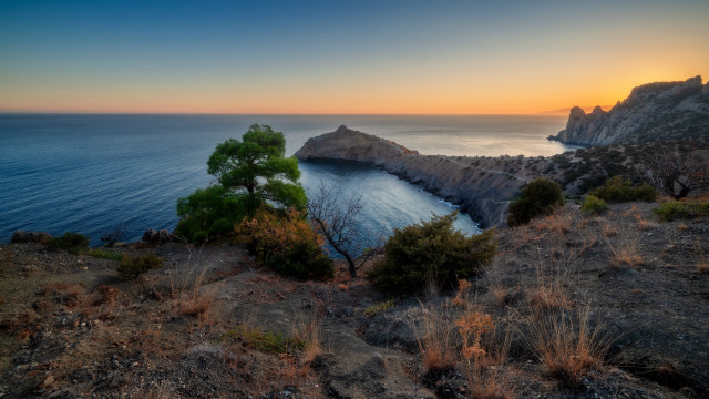 Tree ocean sunset cliff panorama free wallpaper for desktop - medium preview image
