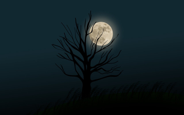 Bare tree night full moon free wallpaper for desktop - medium preview image